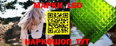 стаф Гатчина