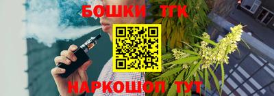 стаф Гатчина