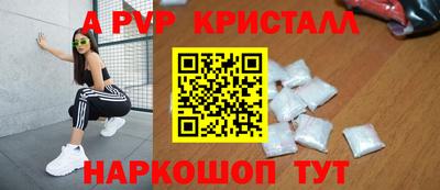 стаф Гатчина